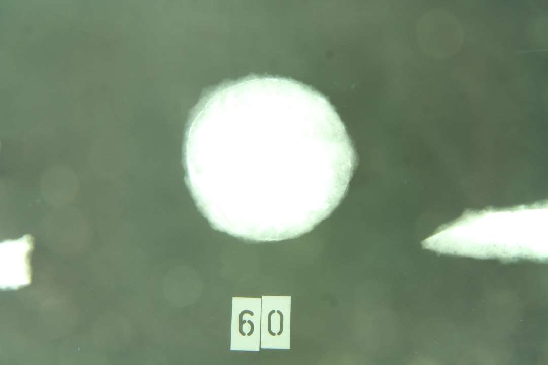 Sv�rdknap. Flad cirkul�r, ca. 40mm i diameter.