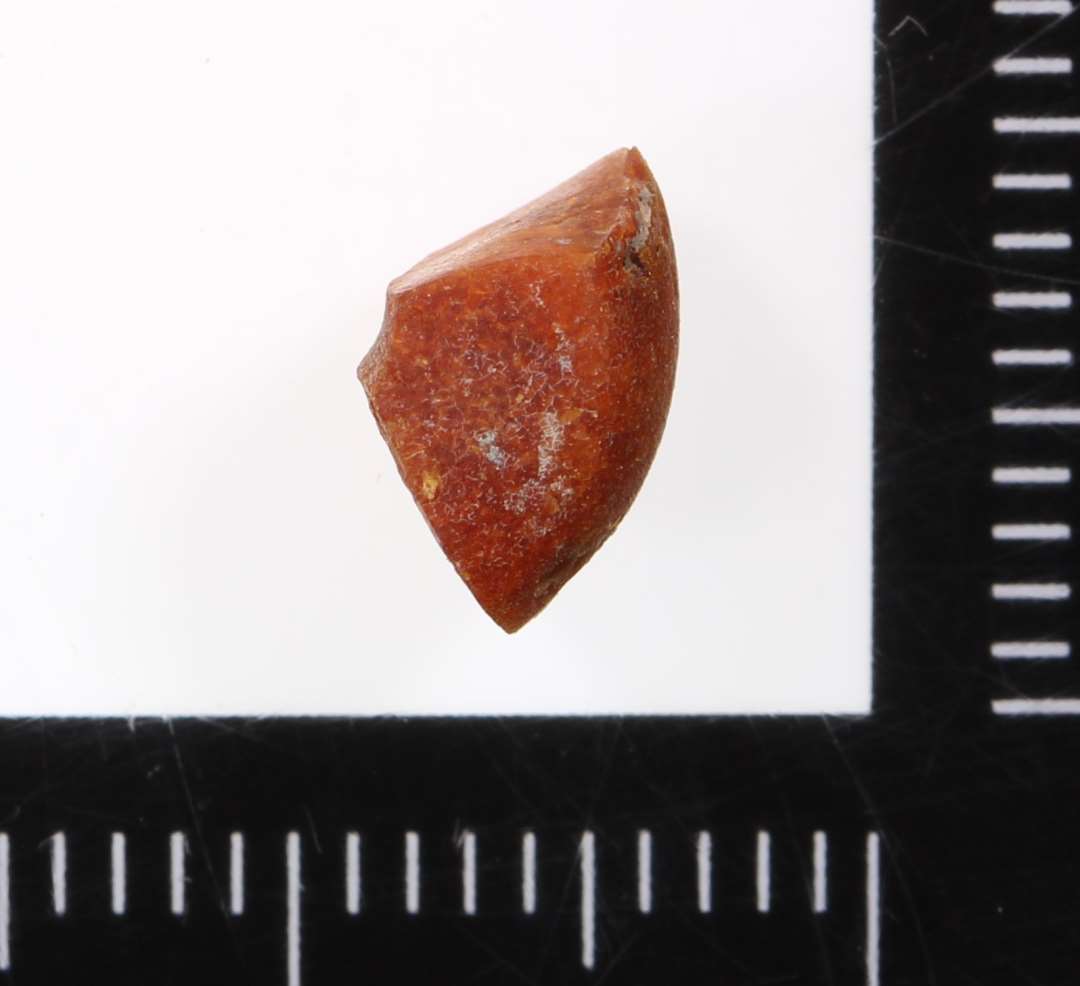 Fragment af ravperle.