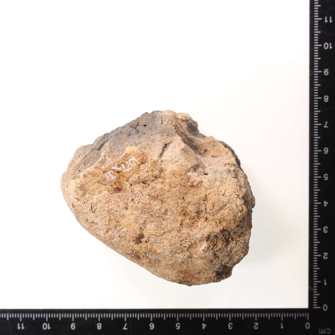 Fragment af v�vev�gt