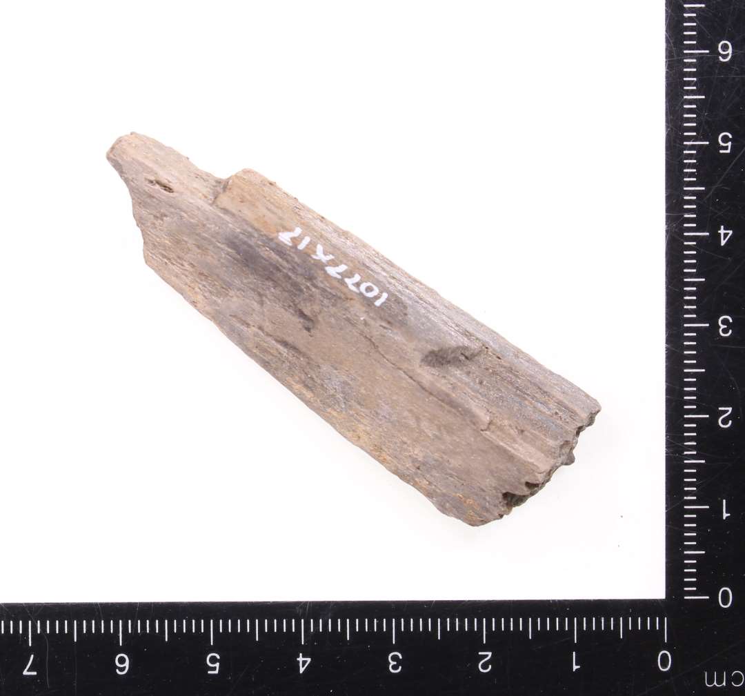 Hv�ssesten. Lys-gr� skifer. To slibeflader, vinkelret p� hinanden.