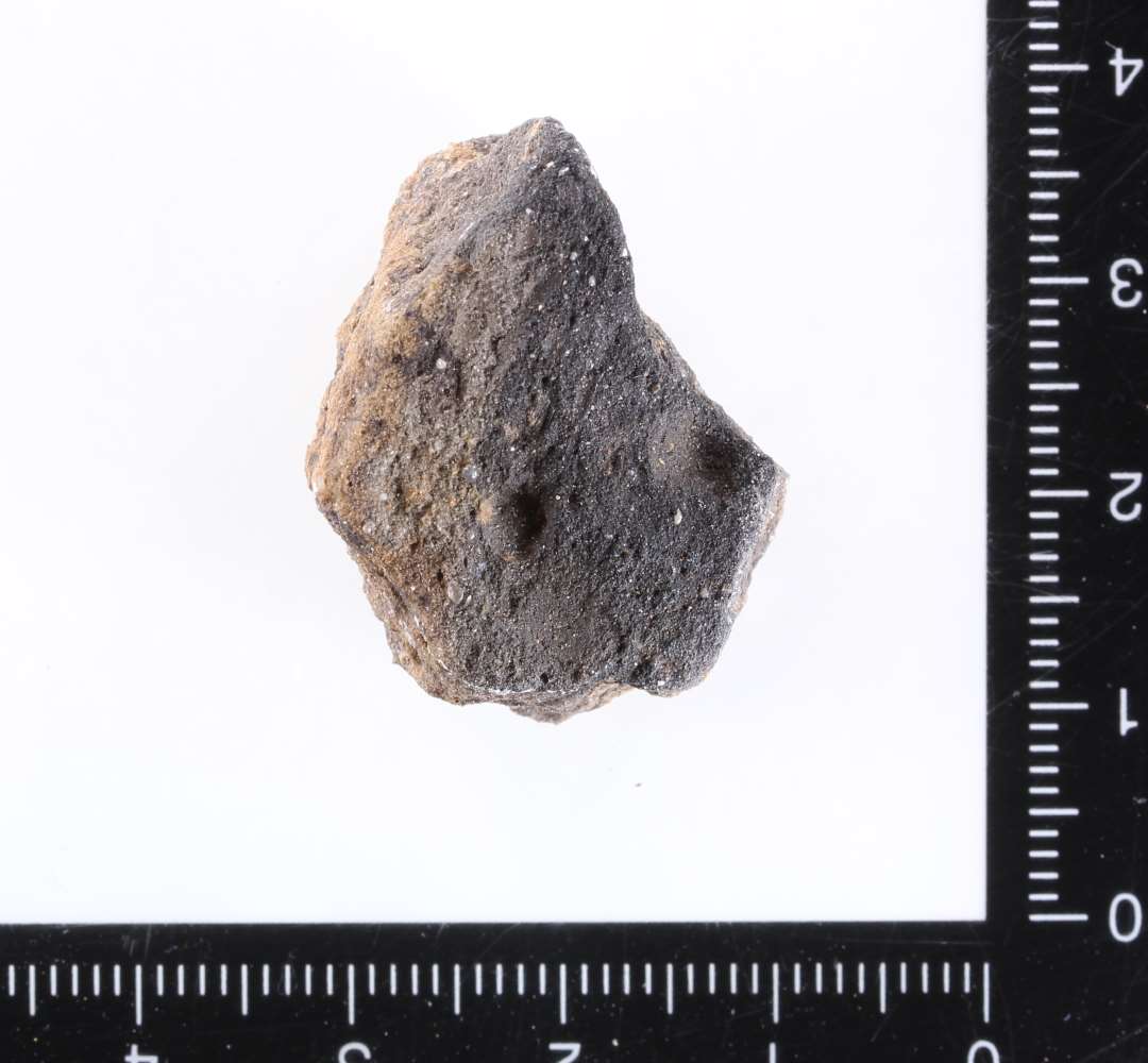 St�beformsfragment. Aftryk af sk�lformet sp�nde, P12. Sort