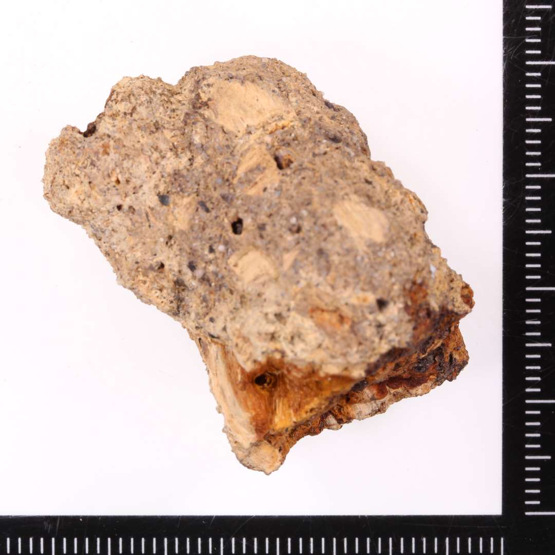 Fragment af jernkniv. Grebende samt del af bladet. Ukonserveret