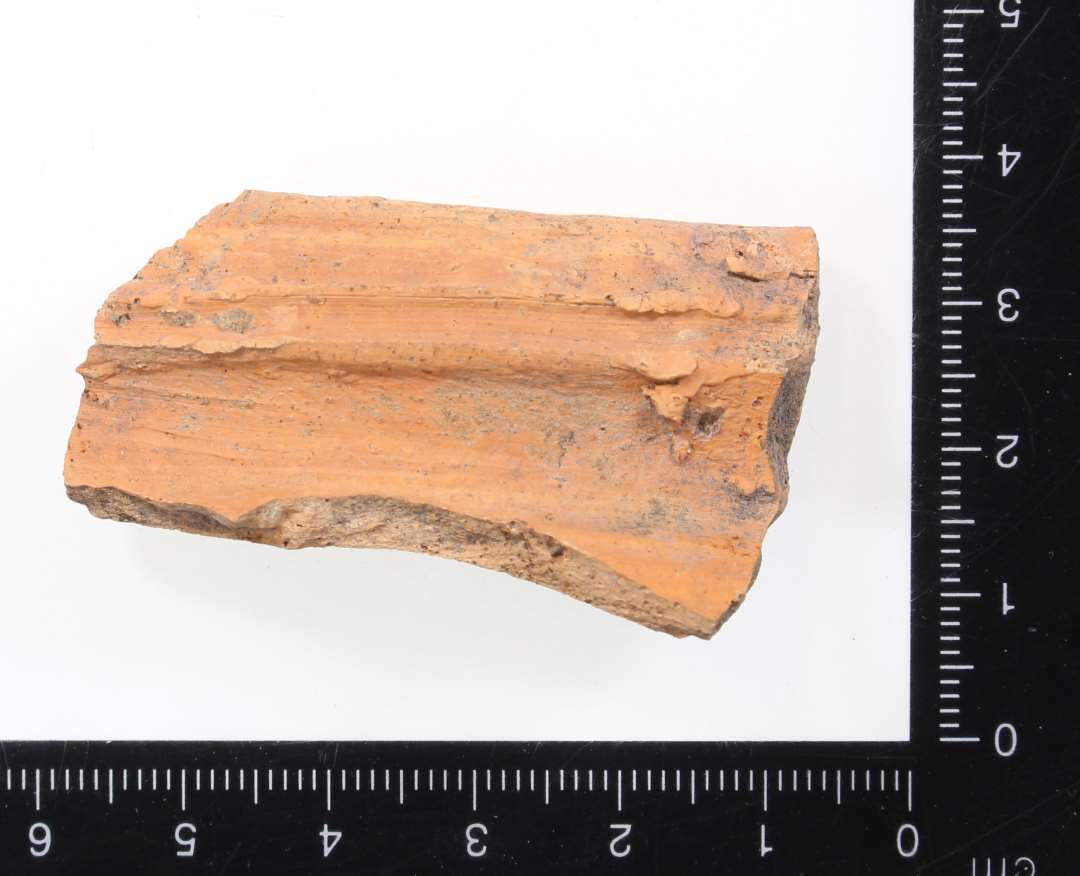 Randsk�r, Badorflignende