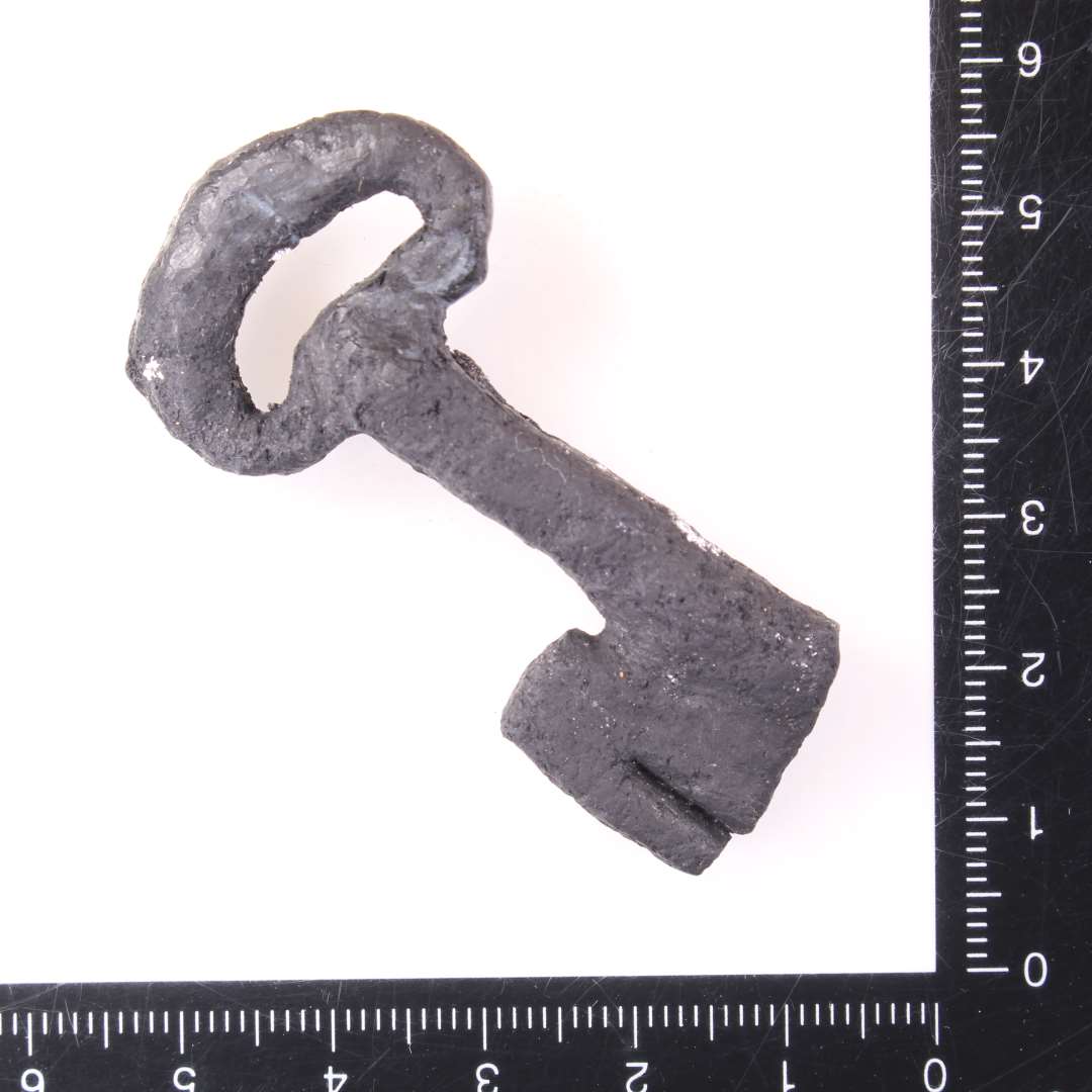 Jernn�gle. Komplet. L�ngde: 5,5 cm. Konserveret