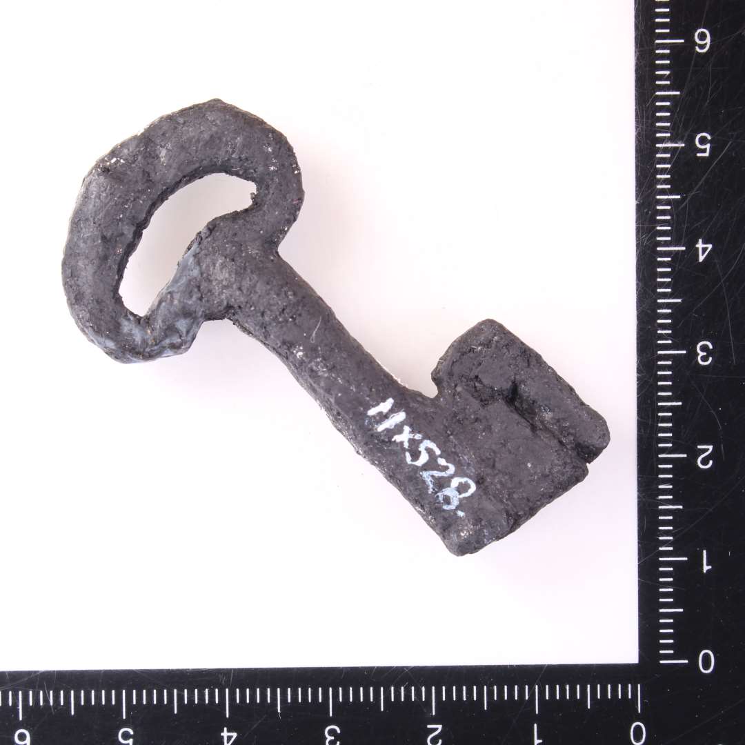 Jernn�gle. Komplet. L�ngde: 5,5 cm. Konserveret