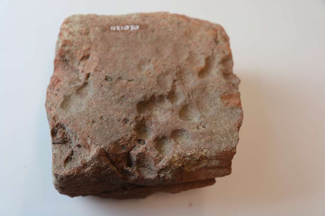 � munkesten med to aftryk af dyrespor. Hundepote? M�l ca. 13 x 13 x 8 cm.