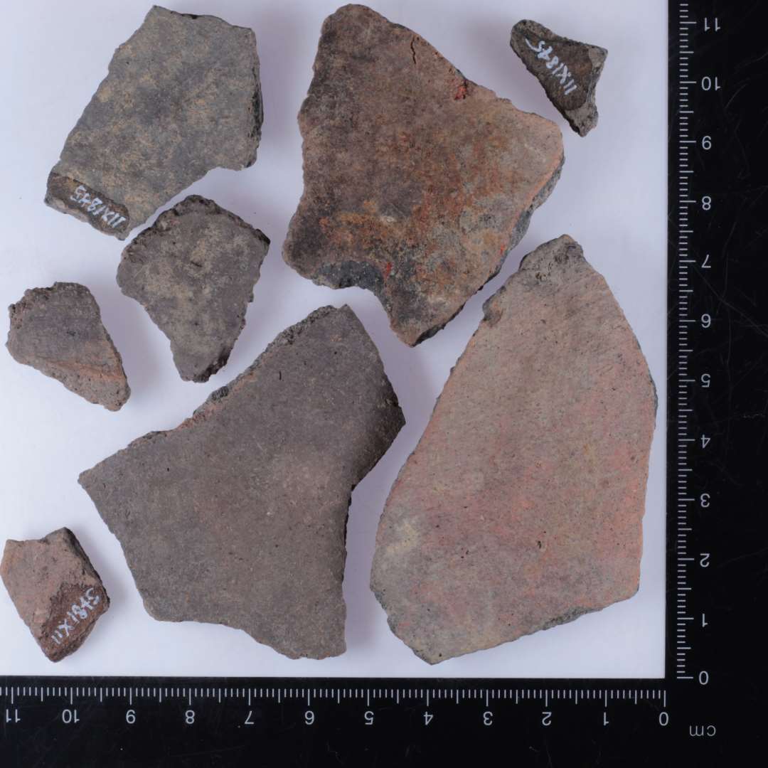 A1 bug. Foto viser eksempler