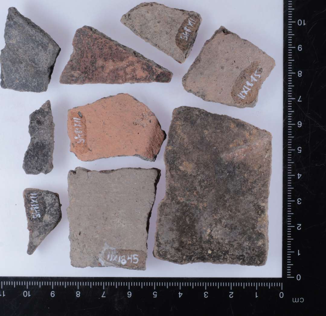 A1 bug. Foto viser eksempler