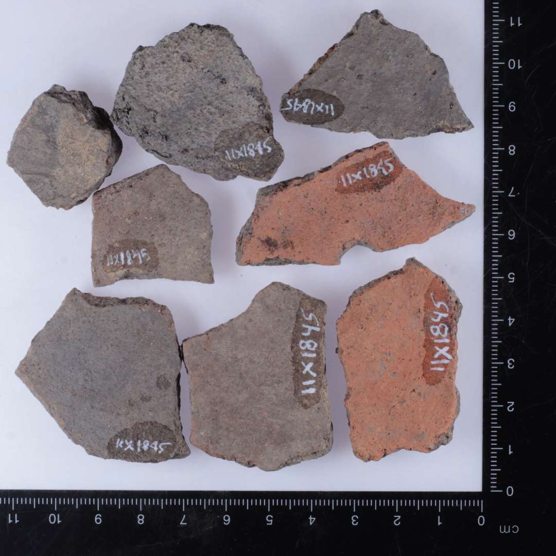 A1 bug. Foto viser eksempler