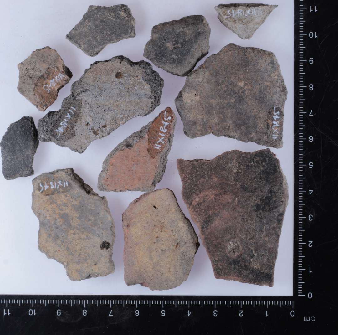 A1 bug. Foto viser eksempler