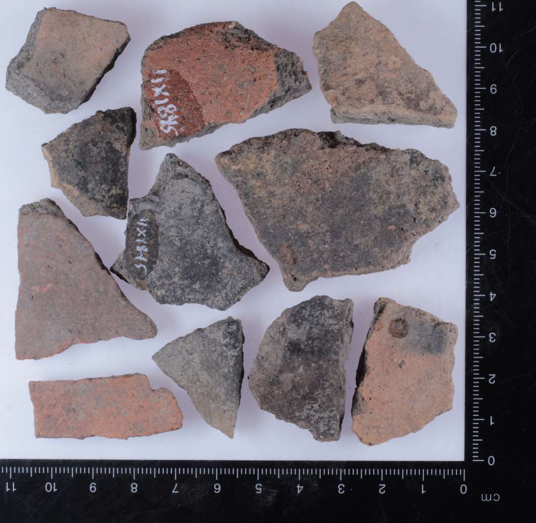 A1 bug. Foto viser eksempler