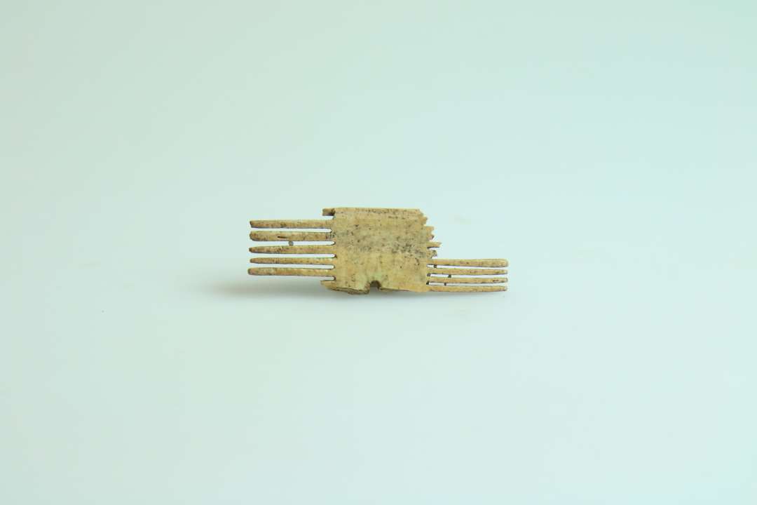 Fragment af dobbeltkam. St�rste m�l ca. 5 cm.��Tandplade, h�jde 4,5 cm