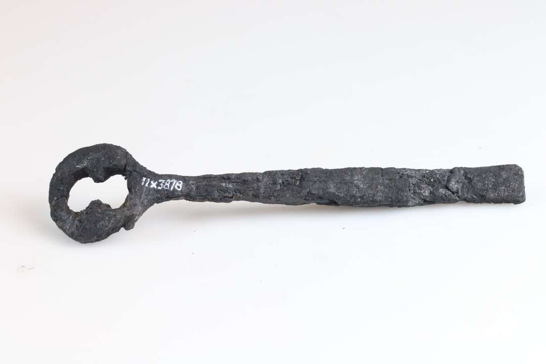 Stor jernn�gle? L�ngde: ca 16 cm., Konserveret