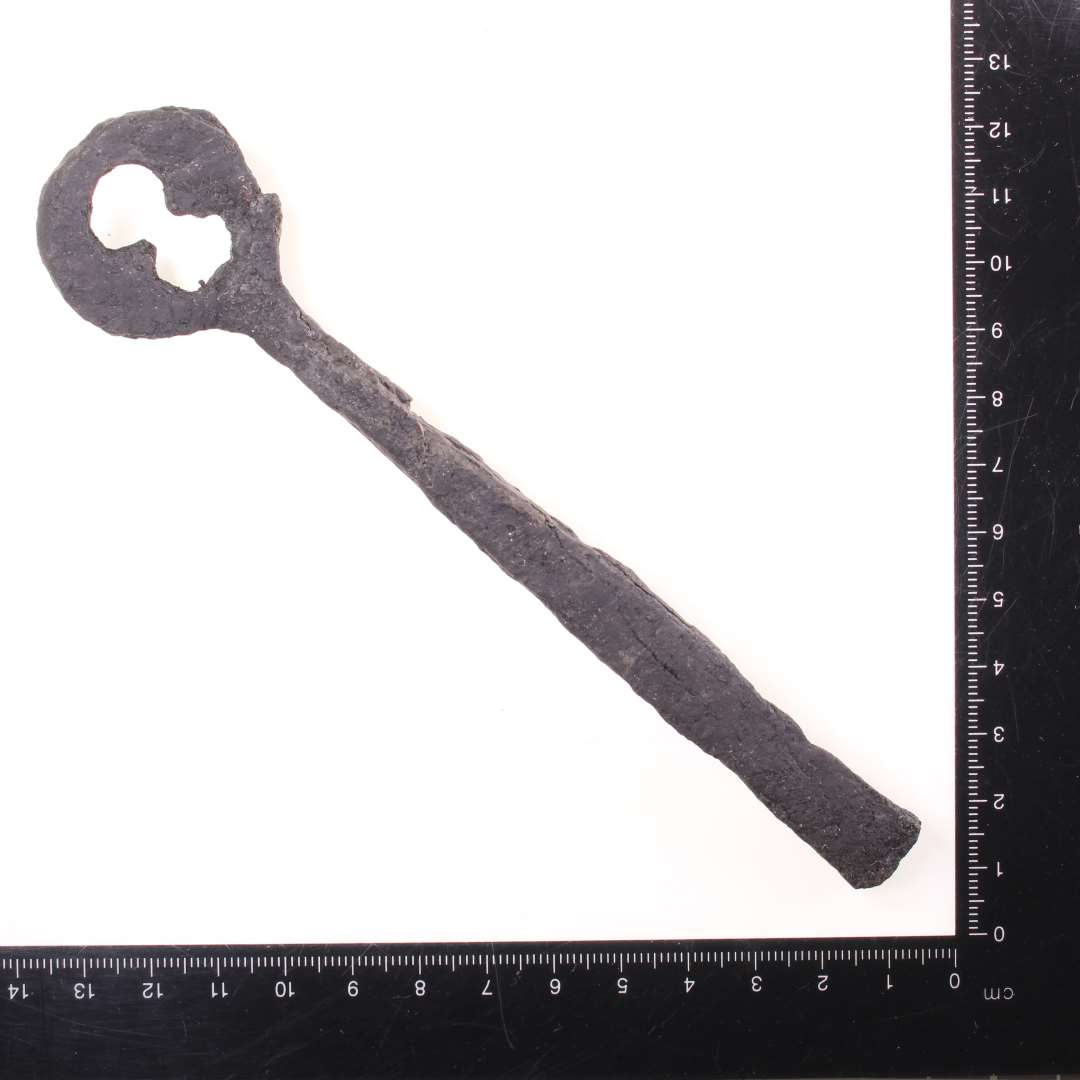 Stor jernn�gle? L�ngde: ca 16 cm., Konserveret