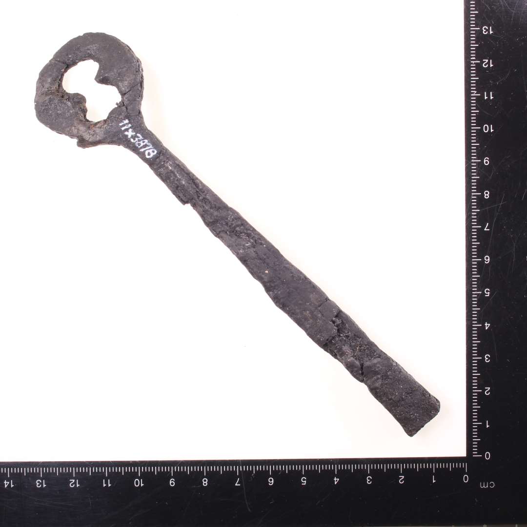 Stor jernn�gle? L�ngde: ca 16 cm., Konserveret