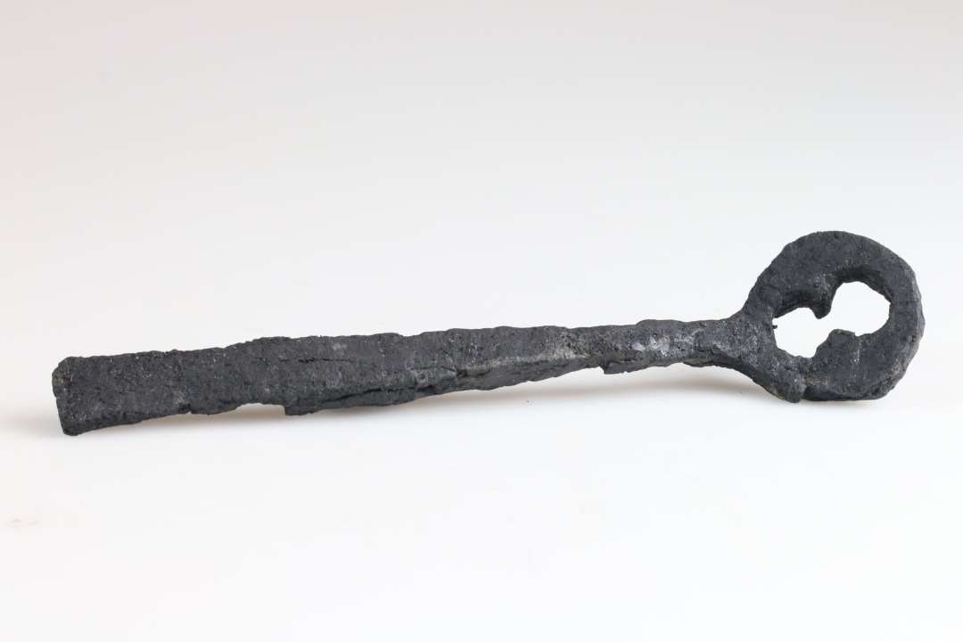 Stor jernn�gle? L�ngde: ca 16 cm., Konserveret