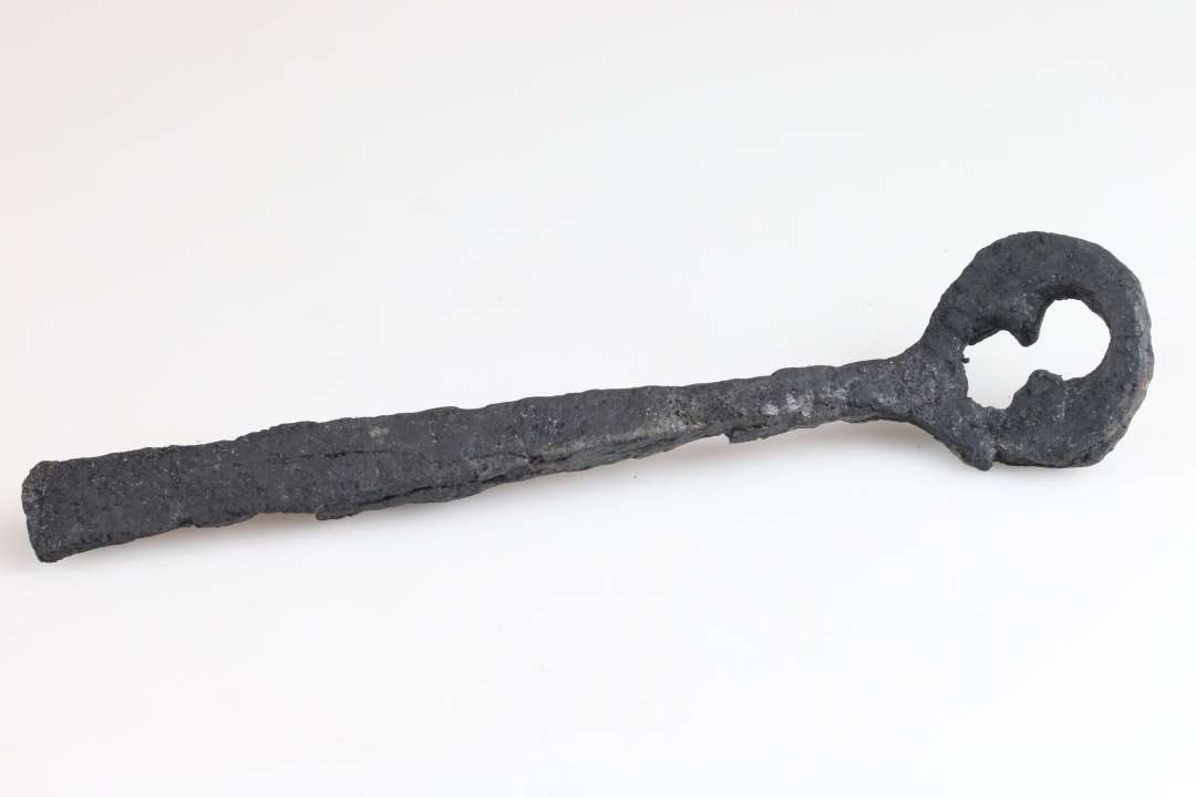 Stor jernn�gle? L�ngde: ca 16 cm., Konserveret