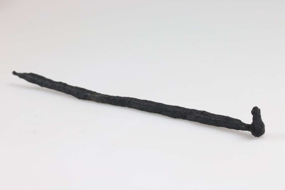 N�gle(?). L�ngde: 21,5 cm., Konserveret