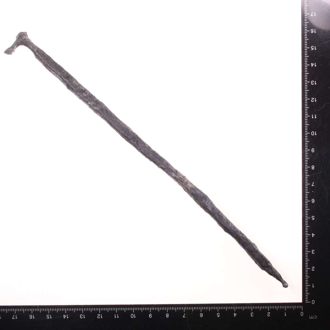 N�gle(?). L�ngde: 21,5 cm., Konserveret