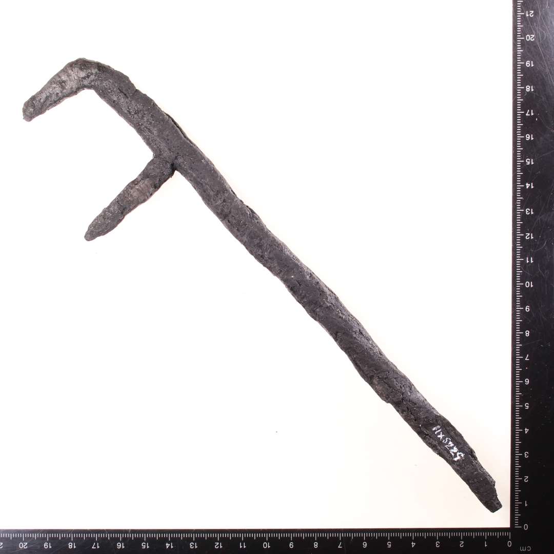 K�dkrog. Med to t�nder. L�ngde: 25 cm. Konserveret