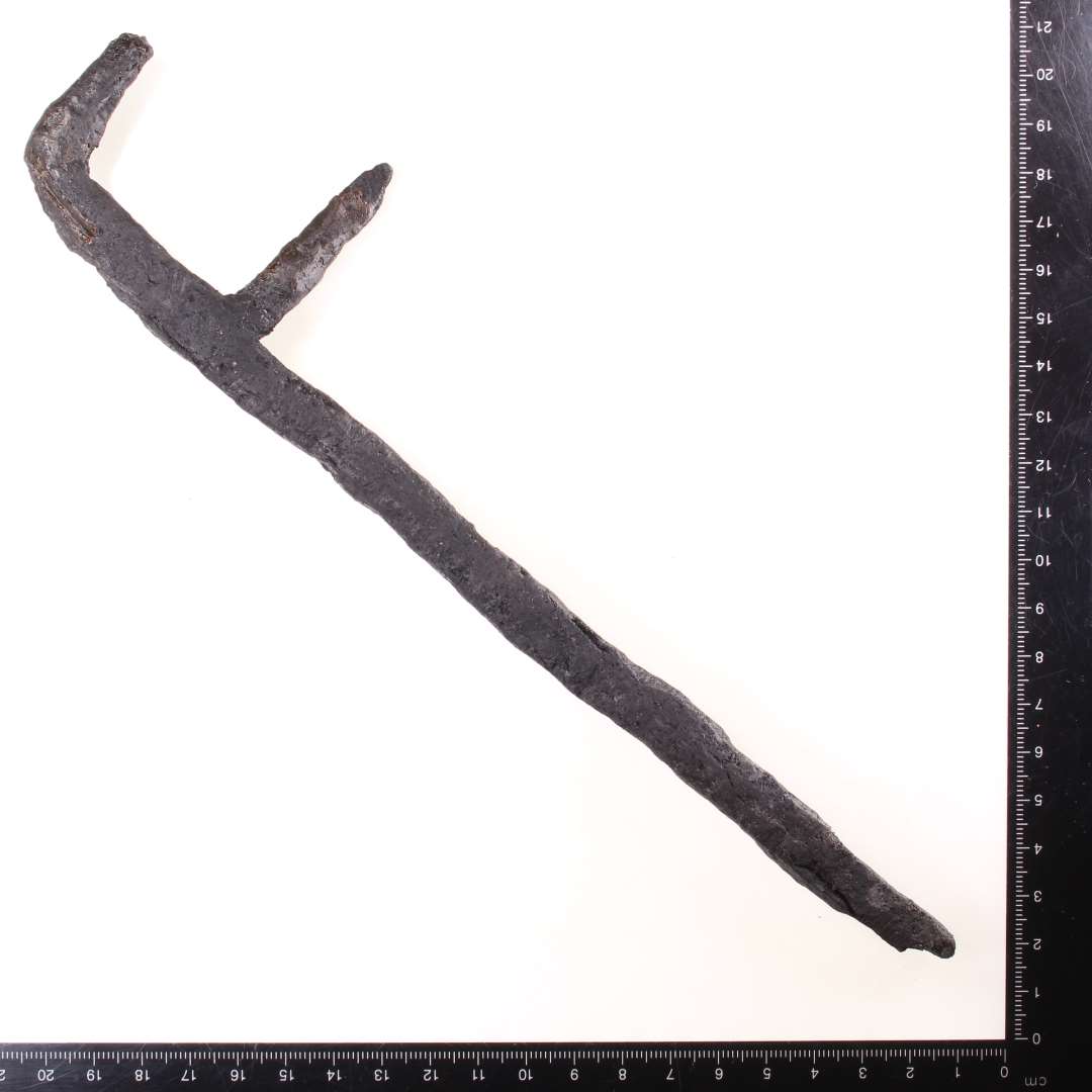 K�dkrog. Med to t�nder. L�ngde: 25 cm. Konserveret