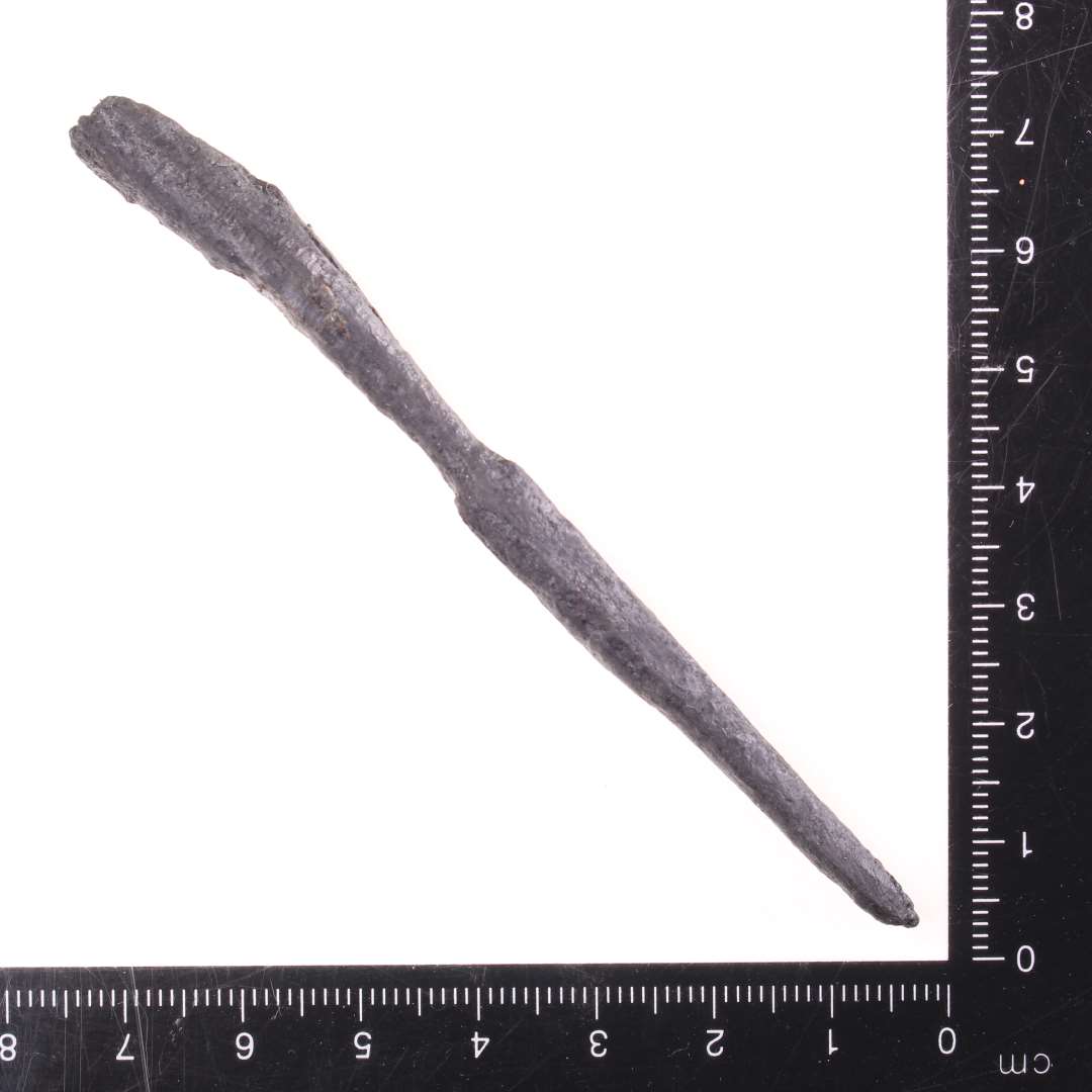 Huljern? Eller pilespids? L�ngde: 10 cm., Konserveret
