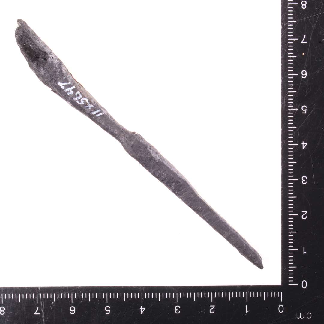 Huljern? Eller pilespids? L�ngde: 10 cm., Konserveret