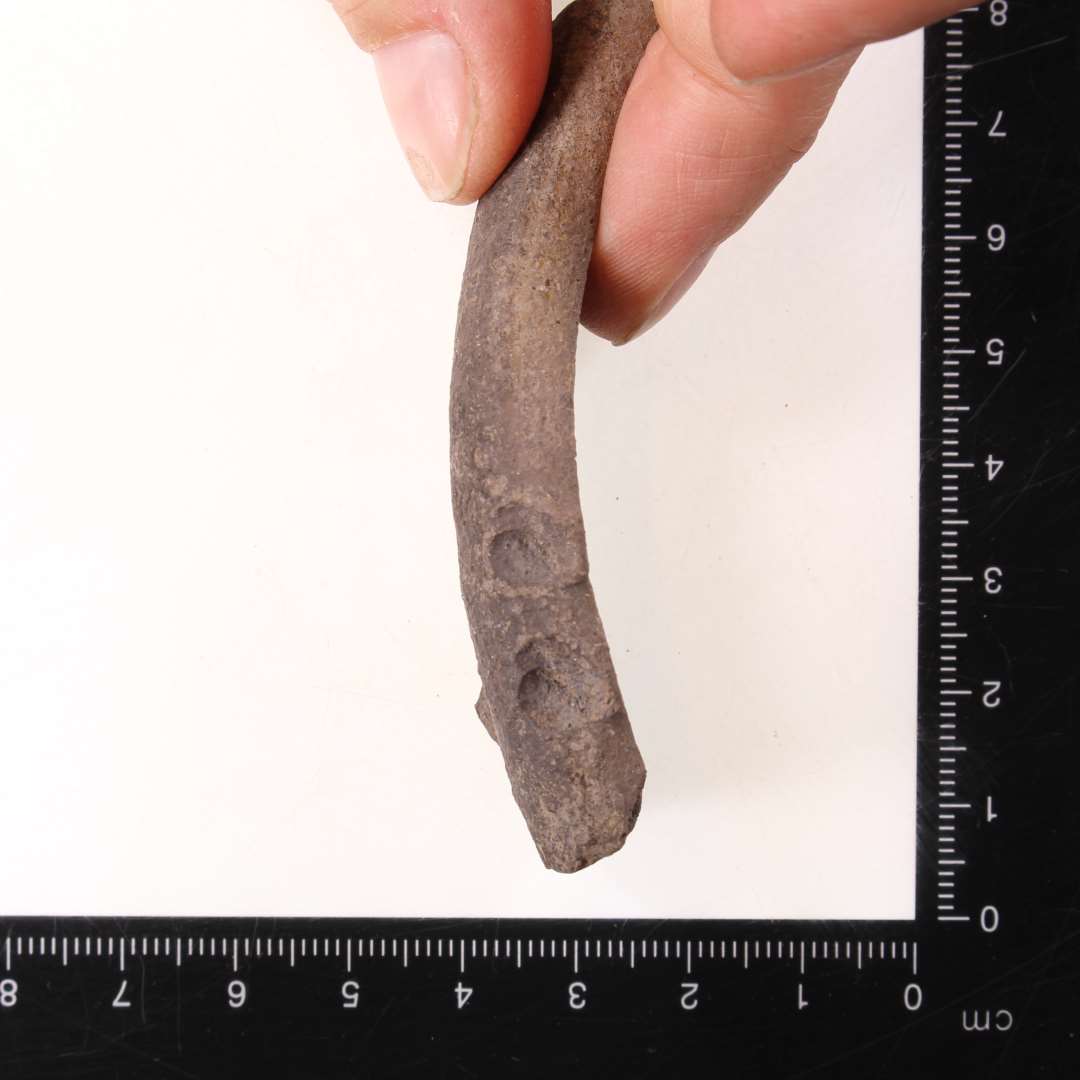 Randsk�r, heraf et med sm� fingerspids indtryk? samt et med lodret/indadb�jet rand samt 6 stk. med drejeriller p� halsen (foto) 