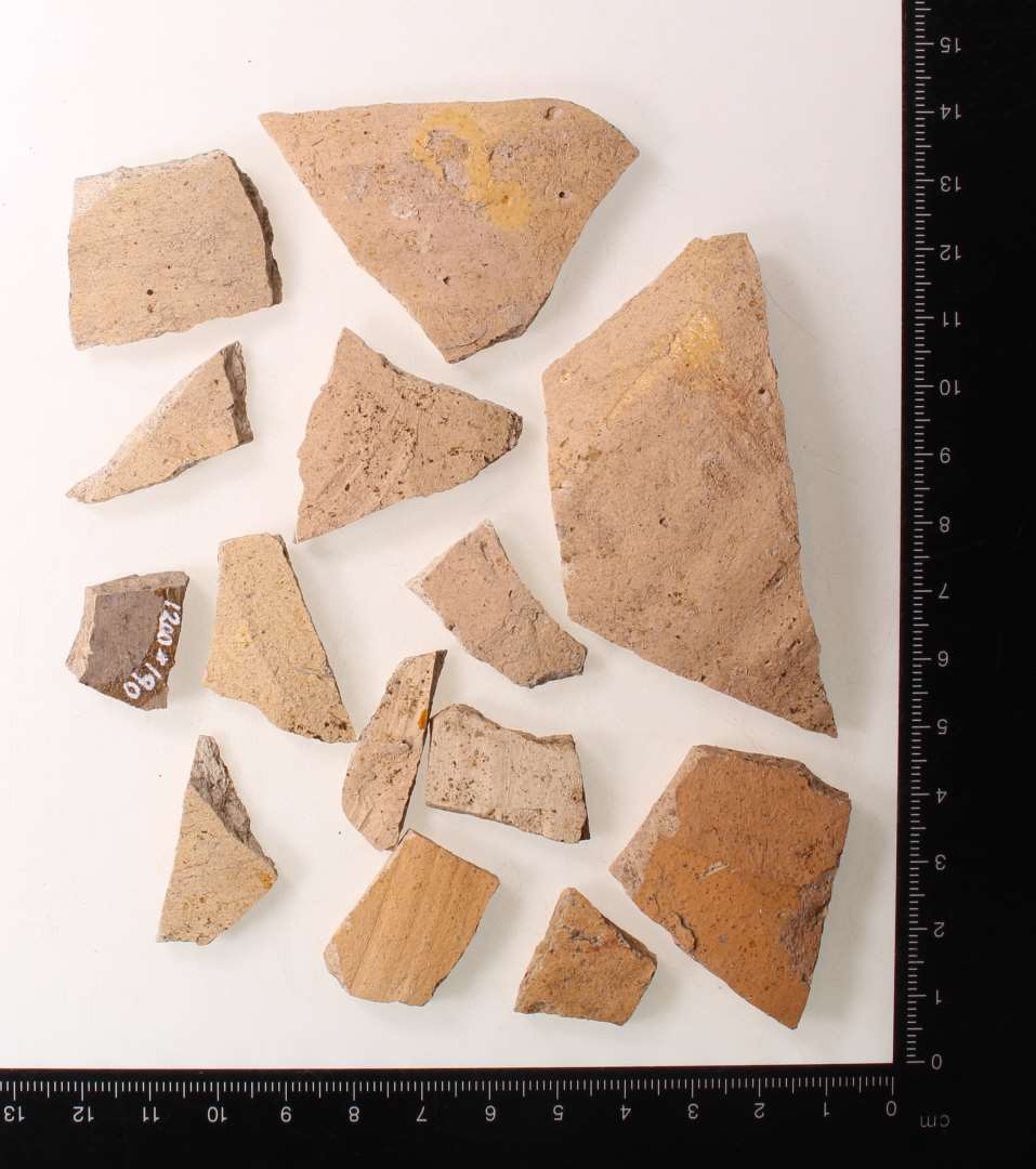 Bugsk�r, formentlig Andenne