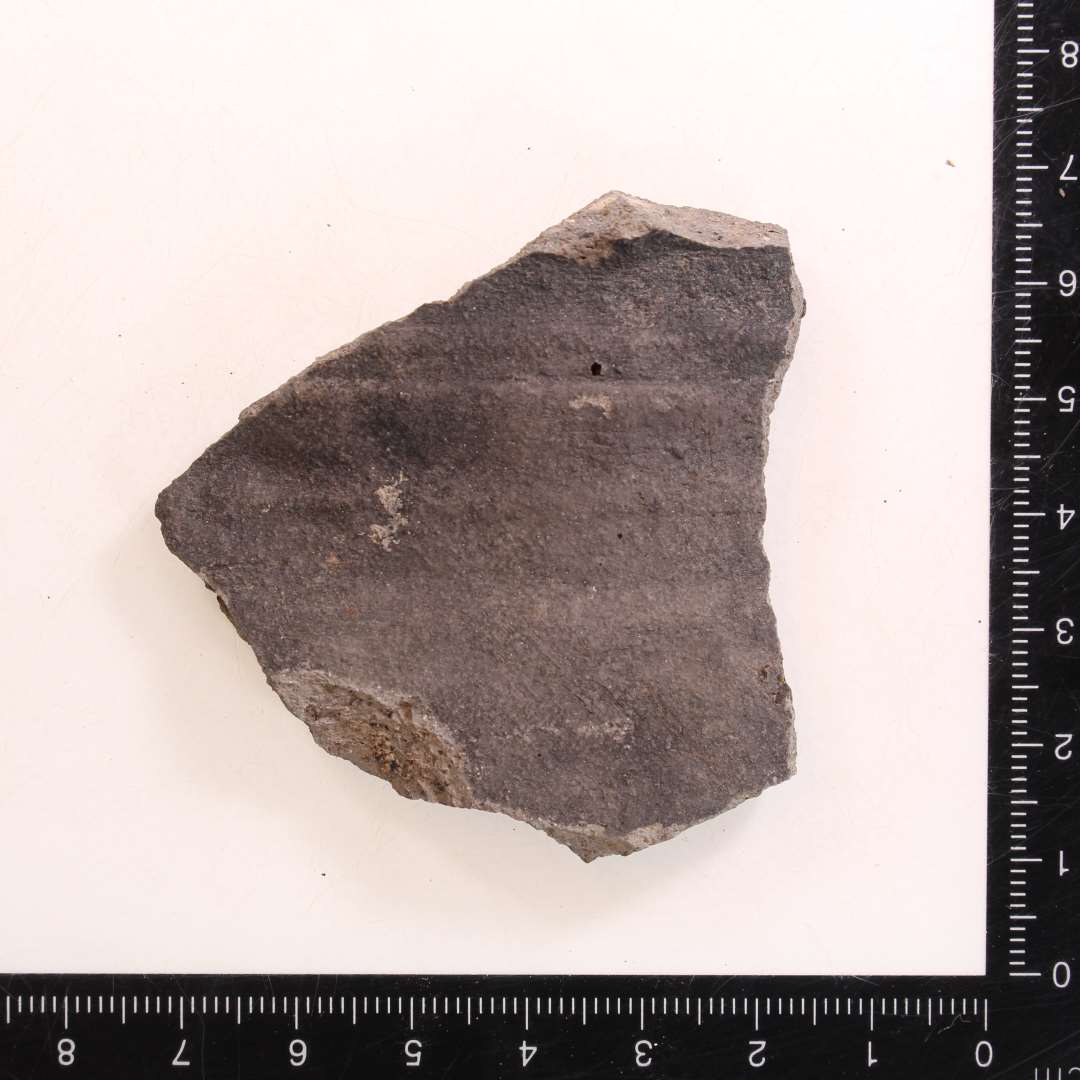 Bug, heraf et sk�r med drejeriller p� halsen (foto)