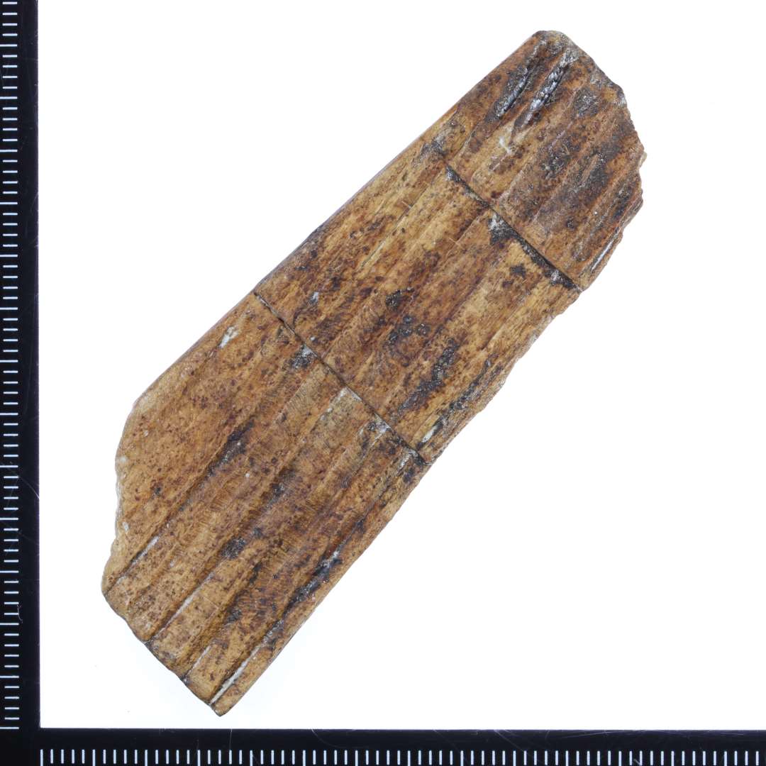 Stav til stavb�ger. Ca. 7 cm lang. Ca. 2,5 cm i den brede ende og ca. 2 cm i bunden. Hak til to b�nd.