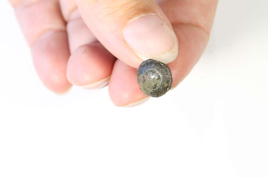 Lille cirkul�r knap ( �: 11 mm) med centralt motiv (kl�verblad?). P� bagsiden p�synings�sken.