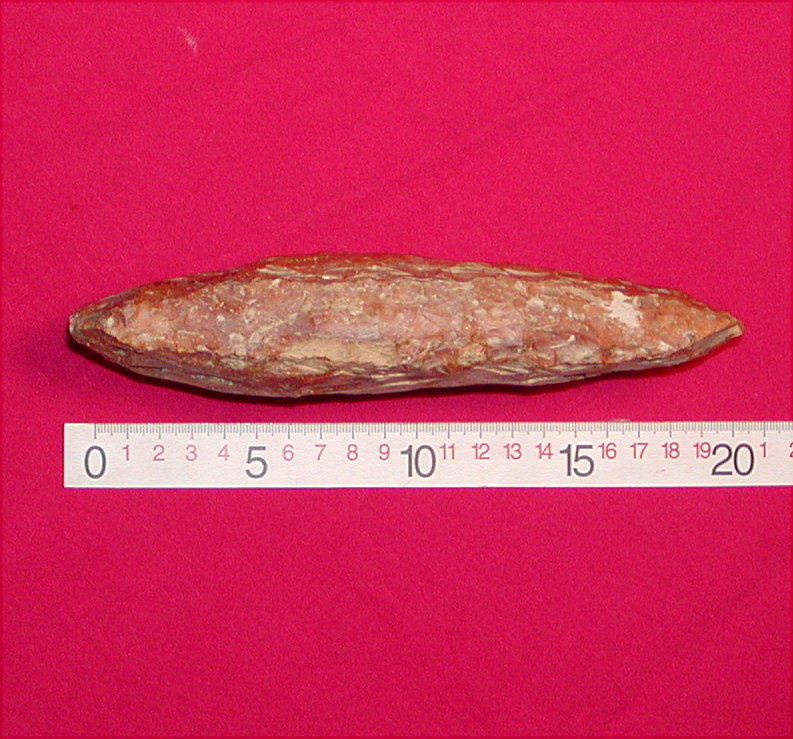 �M�l.�L�ngde: 20,4 cm��gbredde: 7,4 cm