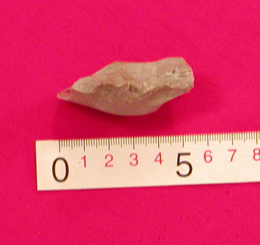 �M�l.�L�ngde:5,1 cm��gbredde:4,5 cm