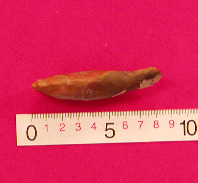 �M�l.�L�ngde:8,4 cm��gbredde:2,8 cm