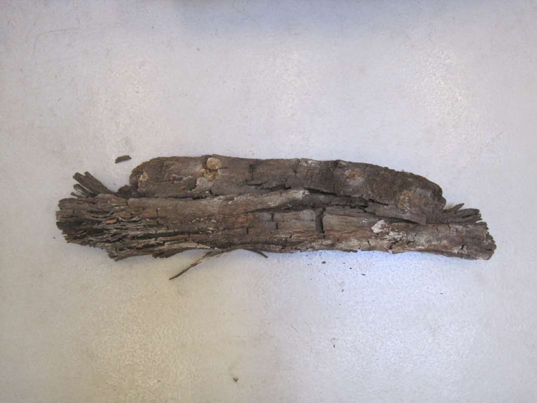 Tr�pr�ve fra plankevej A162. Ej kons. L�ngde: 70 cm.