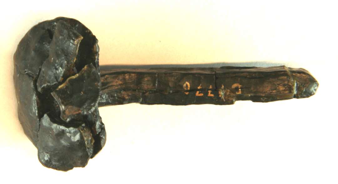 1 fragmenteret, meget kraftig jerns�m/nagle med cirkul�rt, hv�lvet hoved.�L : 7,5 cm. Hovedets m�l : 3,2 x 3,6 cm.