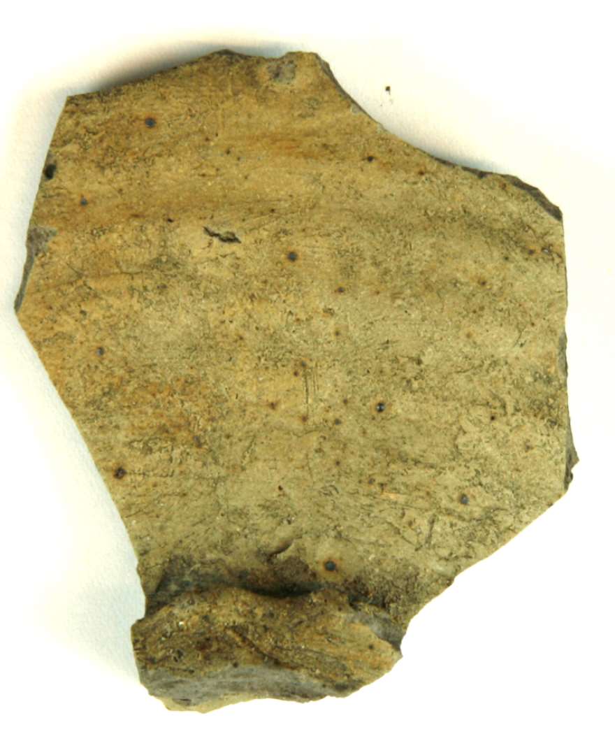 Bundsk�r af h�rdbr�ndt, finslemmet stent�j med lysegr� k�rne og gr�gullig overflade. Sk�ret hidr�rer fra kar med fremst�ende, oph�jet, uj�vn b�lgende fodrand, st�rkt udadskr�nende bugv�g med ganske svage, omkringl�bende furer og vulster p� yder- og indersiden. 