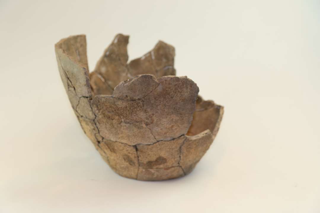 Sidesk�r fra beklasket kar. Sammenlimet med sk�r fra 440 x684. 16 kamstregsornamenterede sk�r, 24 uornementerede bugsk�r, 1 hankesk�r. 