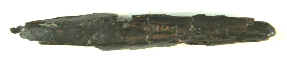 1 jernstykke af trind dobbeltkonisk form med but tilspidsede ender. Dorn ?. L�ngde : 9,6 cm. Tv�rm�l : ca. 1,7 x 1,8 cm.