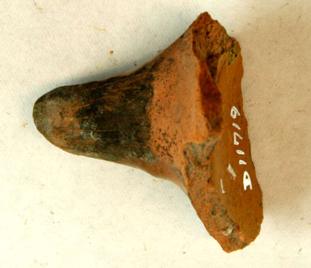 1 stjertpandet� af r�dbr�ndt lergods med klar blyglasur p� indersidepartiet og delvis p� ydersiden. Gr. 1.