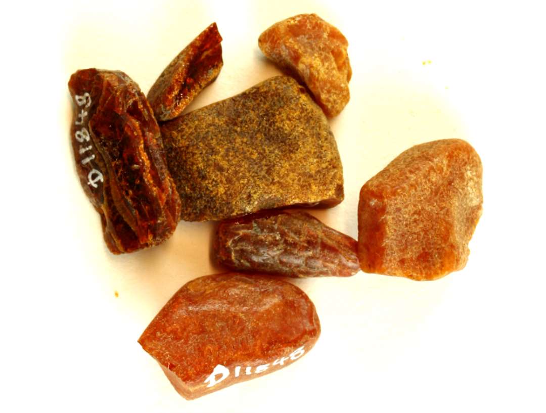 7 stumper uforarbejdet rav. M�l: 1-2 cm.