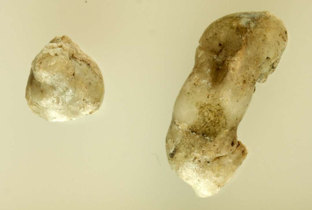 1 forvredet p�lseformet stykke smeltet glas (samlet af tre stykker) af gr�lig ugennemsigtig masse. L: 2.7 cm.