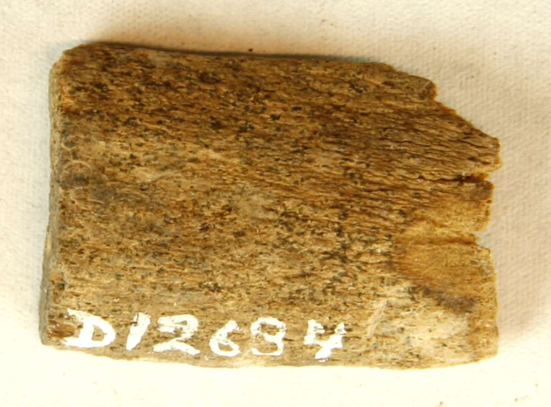 1 forvitret gevirstump af let krummet form, oversavet i den ene ende.�L: 3,2 cm. Br. 2,2 cm.