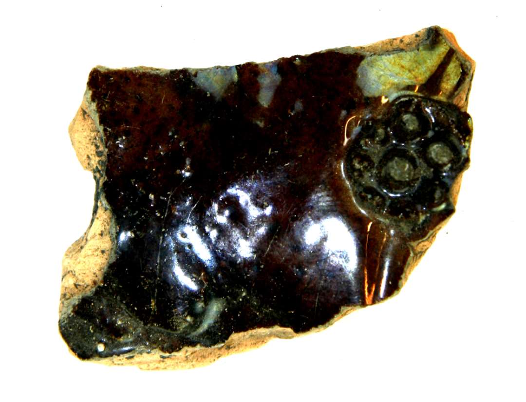 B1 bug, med hindb�rknop