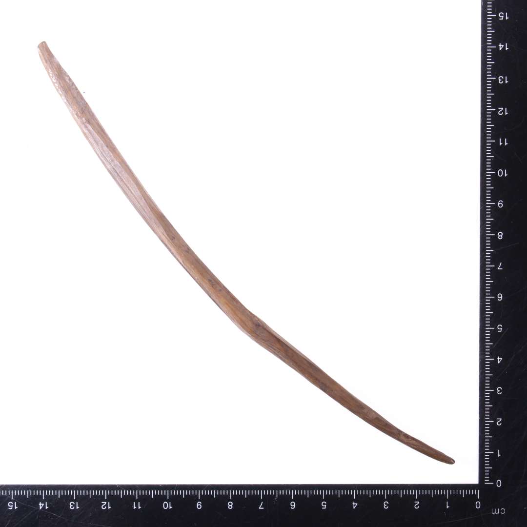 P�lsepind, krum. 
L�ngde: 18,5 cm.