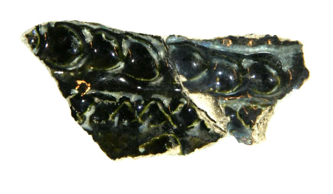 Gr�n Rouen bug. Sammenlimet med R??