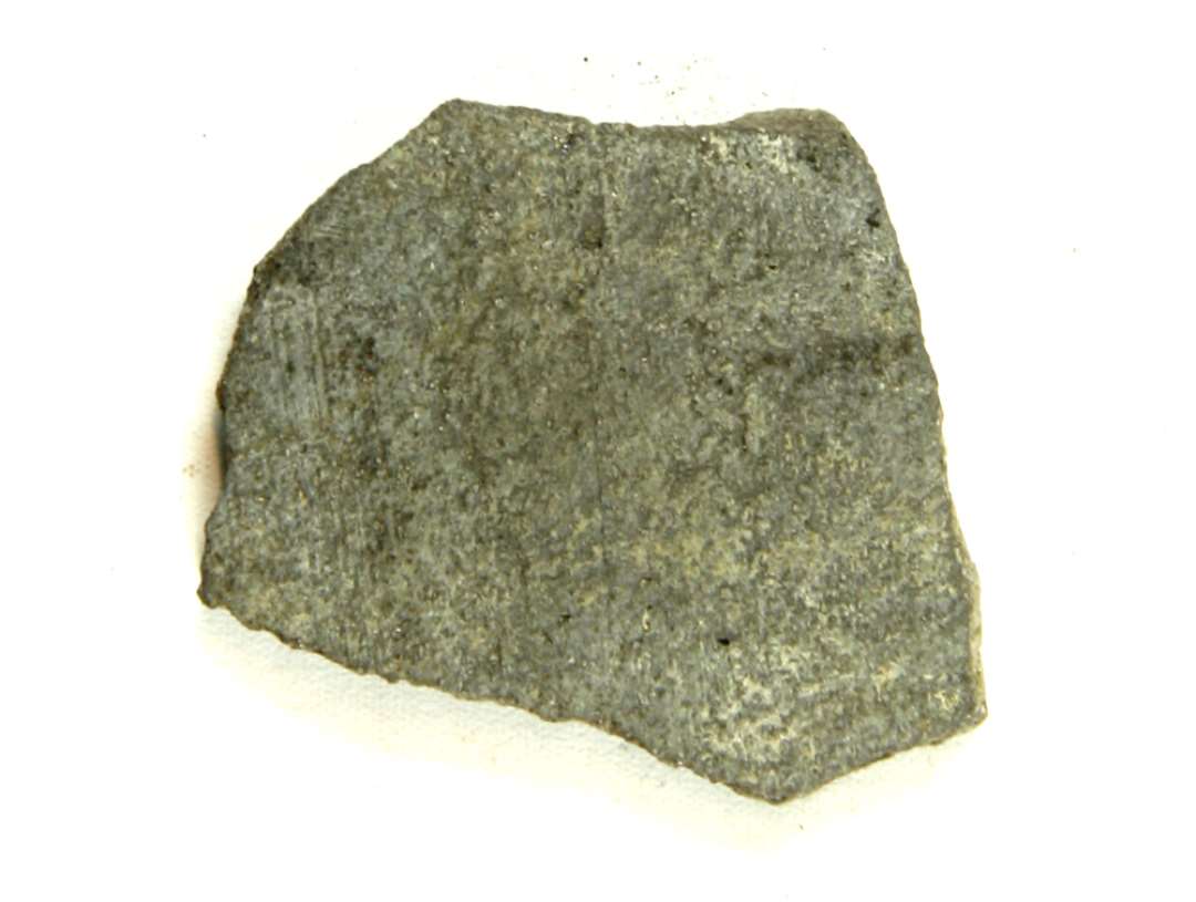 pingsdorf bug