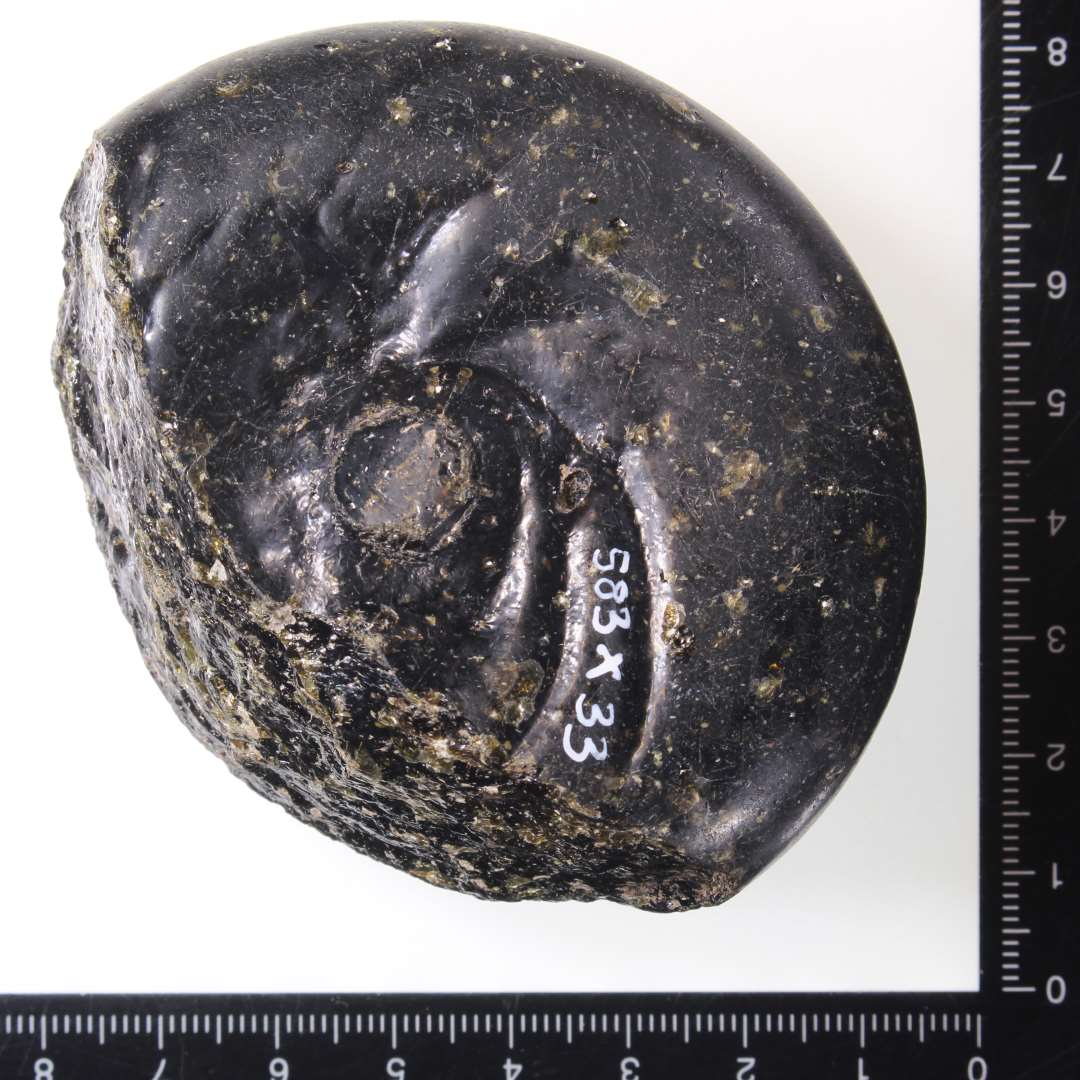 Fragment af hv�lvet s�mglatter. Halvdelen bevaret. Halv-gennemsigtigt, gr�nt glas.�Glasmasse m.m. helt som x5. Diameter: 8 cm.