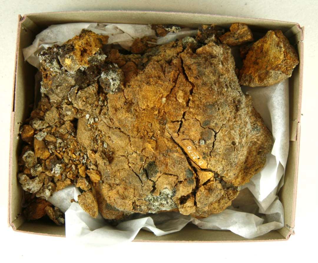 Forrustet jernklump af kokosn�dsst�rrelse med stykker af tr�kul i overfladen.